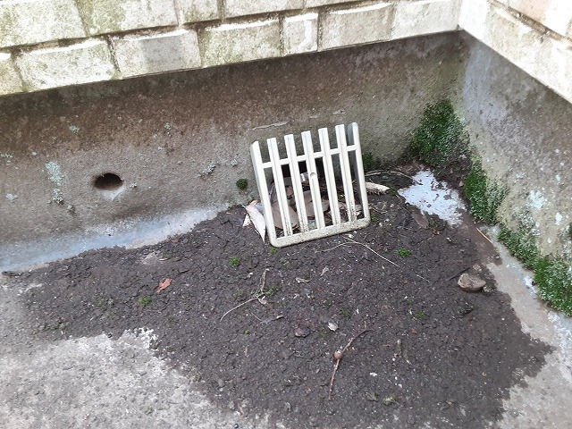 ドレン部分のゴミ詰まり